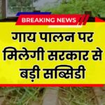 Cow Subsidy Yojana