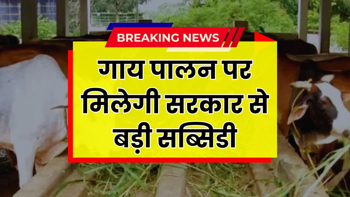 Cow Subsidy Yojana
