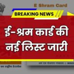 E-Shram Card List