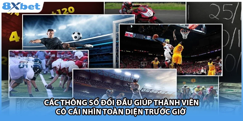 Các thông số đối đầu giúp thành viên có cái nhìn toàn diện trước giờ 
